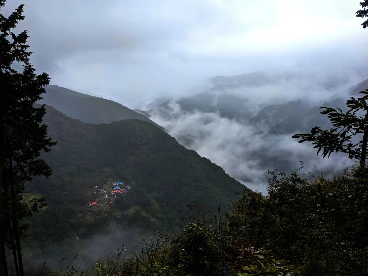 画像7