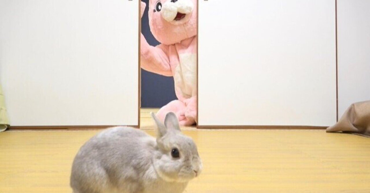 うさぎのぽぽちゃん｜sumomo｜note