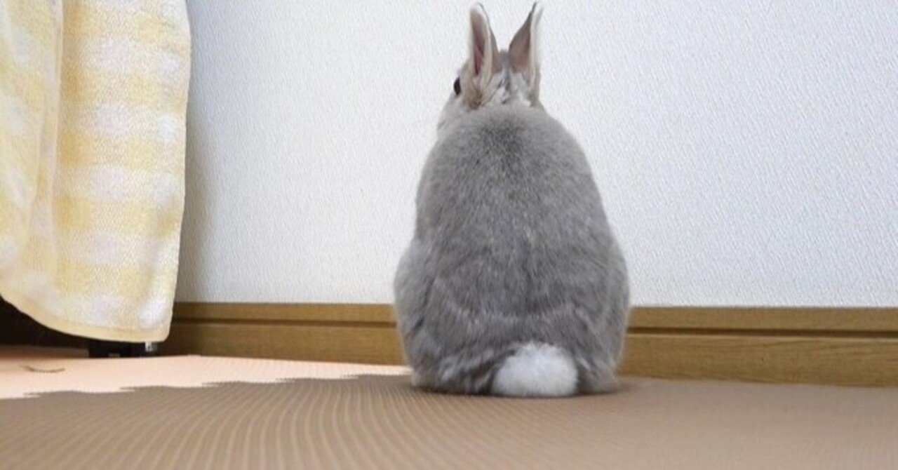 可愛いにもほどがある すねちゃった編 Sumomo Note