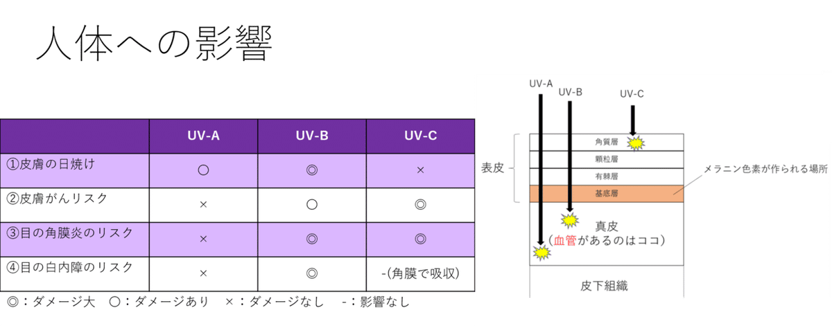 UV影響