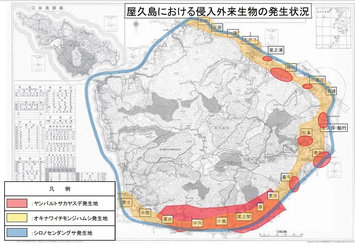 ヤンバルトサカヤスデ 世界自然遺産の屋久島に移住して4年目で区長になった話 Note ヤンバルトサカヤスデ 世界自然遺産の屋久島に移住して4年目で区長になった話 Note
