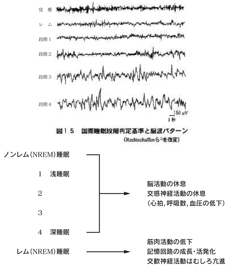睡眠時の脳内 Techdoctor Inc Note