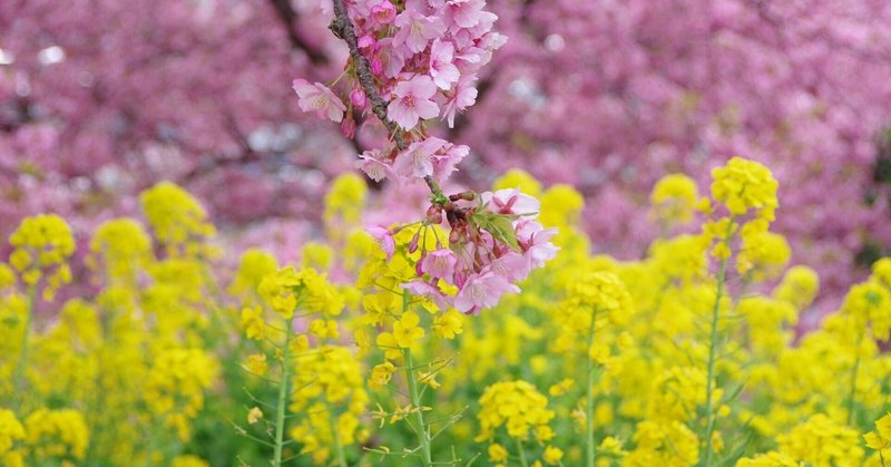 フリーライターになるには の新着タグ記事一覧 Note つくる つながる とどける