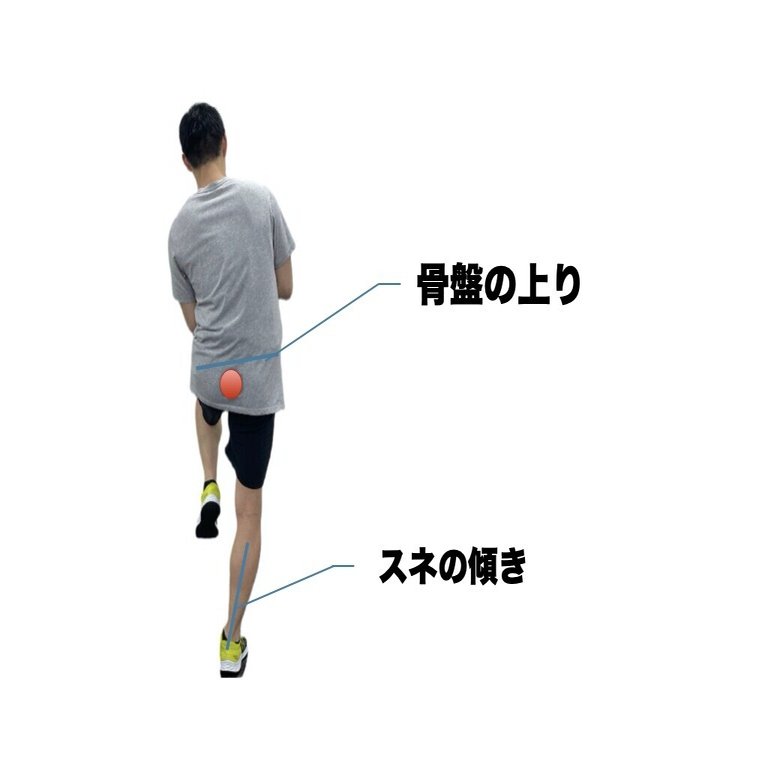 ランニングフォームのチェックポイント 平 純一朗 理学療法士 アスレティックトレーナーnote Note