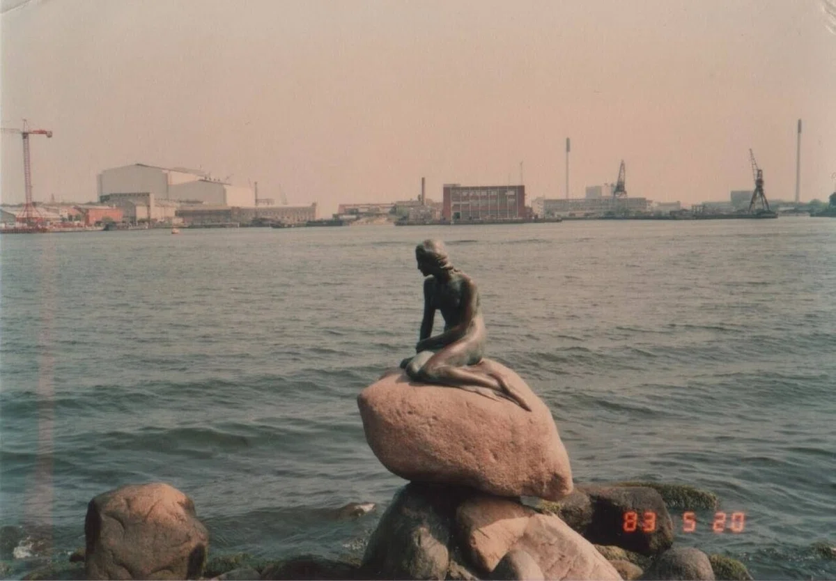 画像7