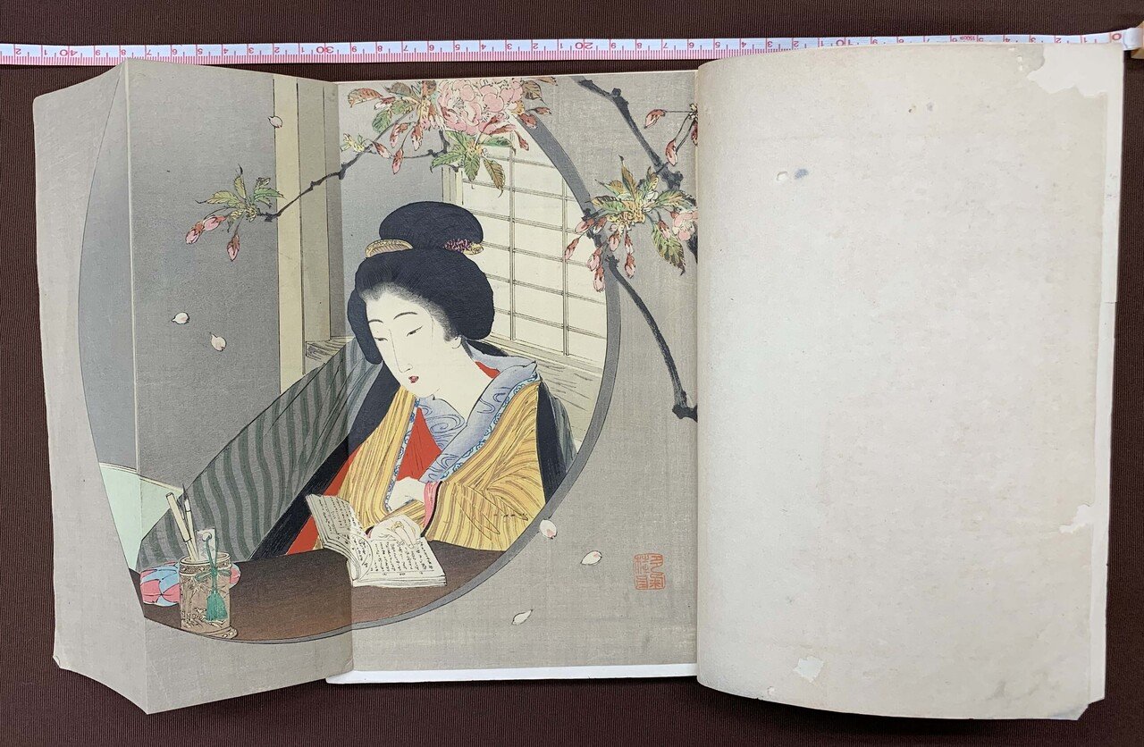 口絵、小説日蓮記の口絵武内桂舟と東京料理浮世絵芳年画の二枚