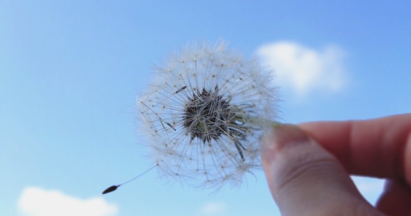 たんぽぽの綿毛 花言葉 別離 つぐみ Note