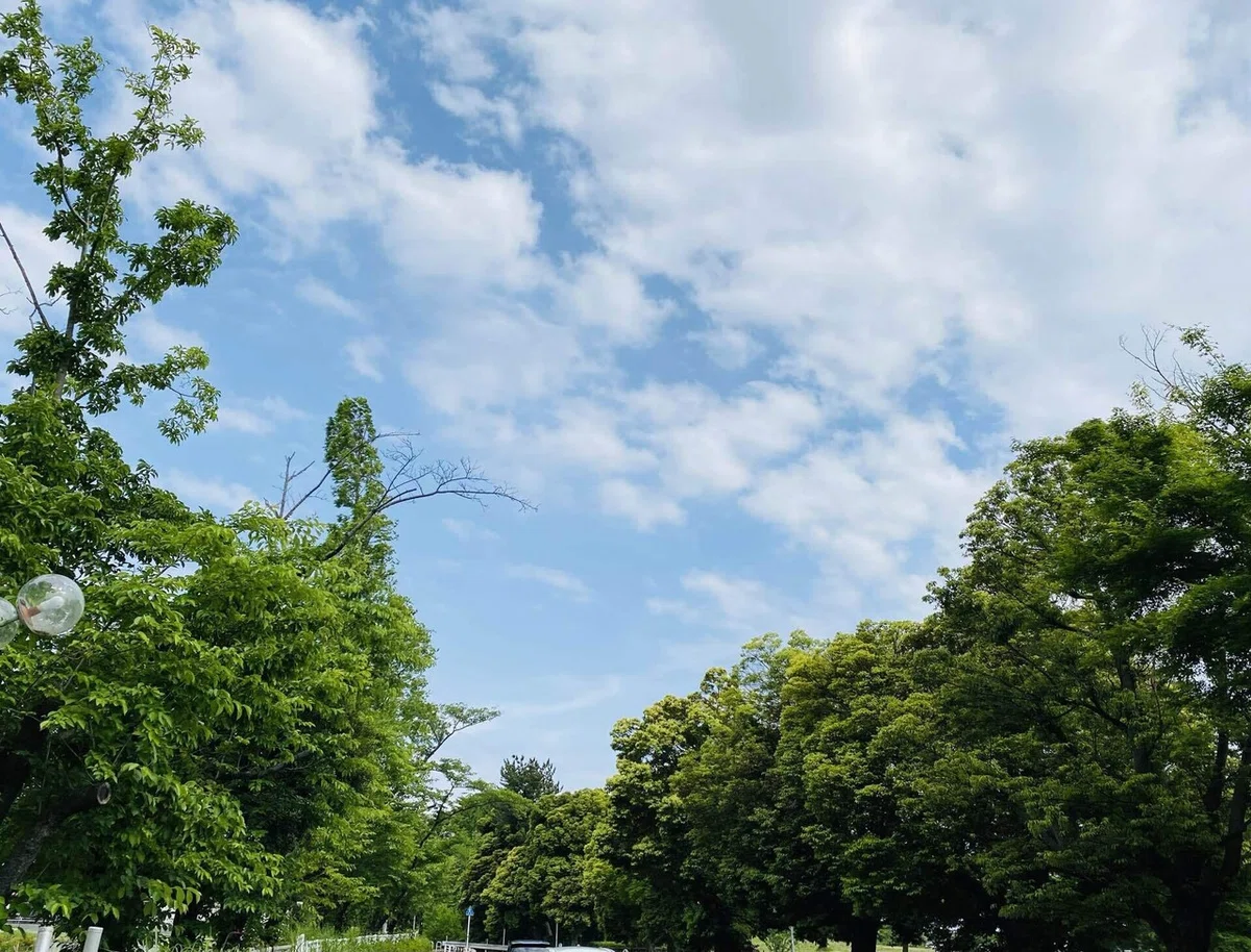 画像2