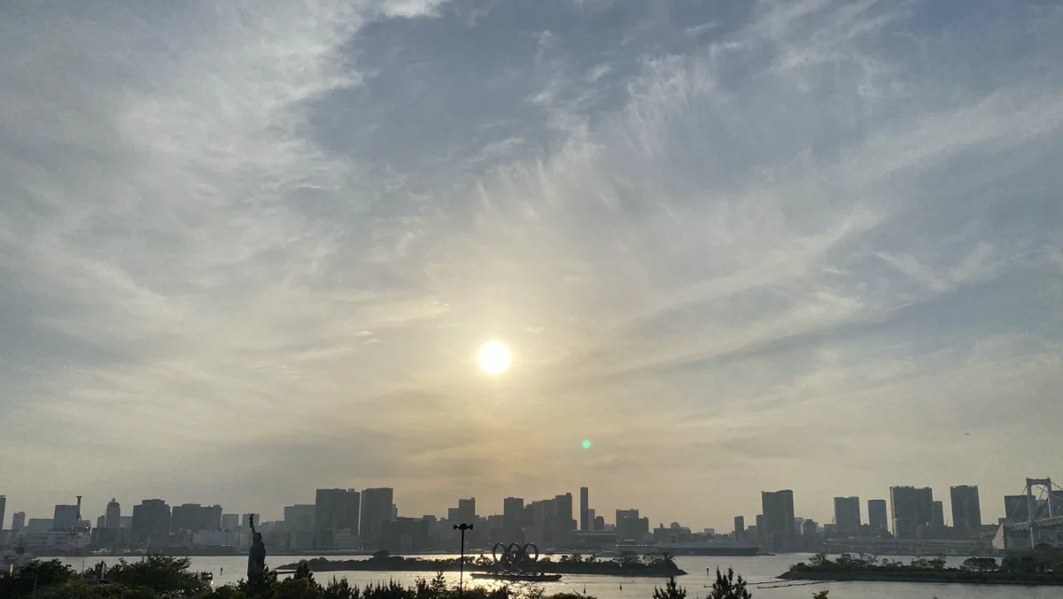 画像6