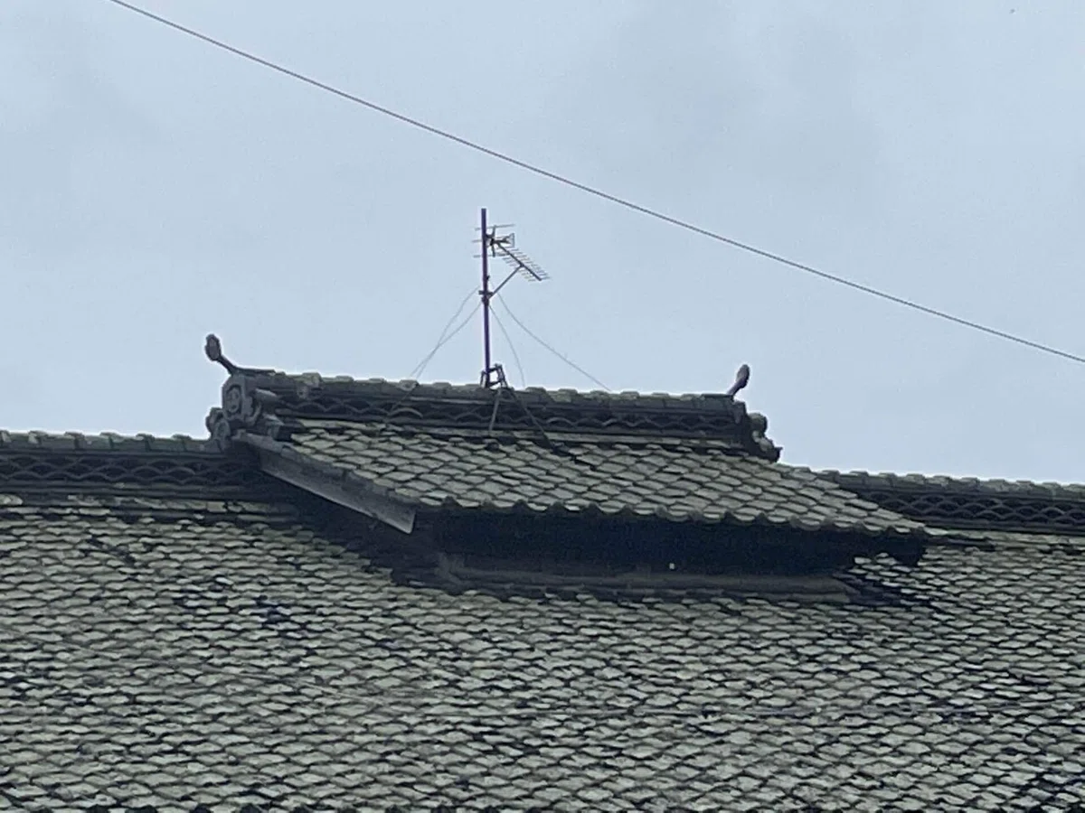 画像54