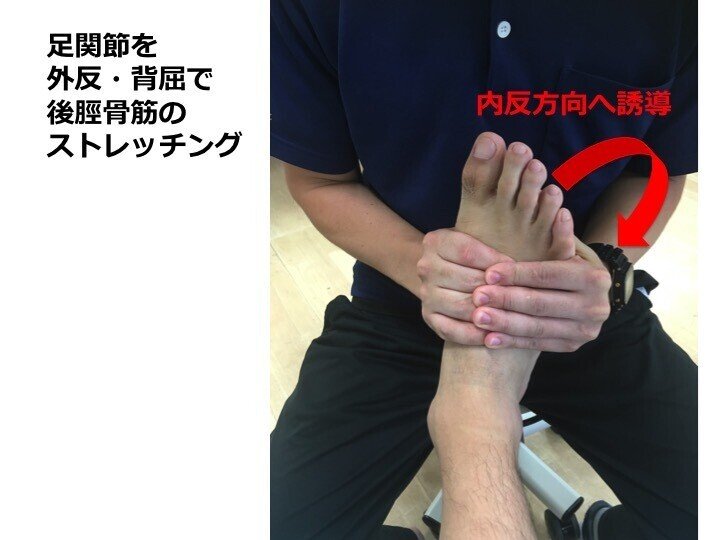 後脛骨筋