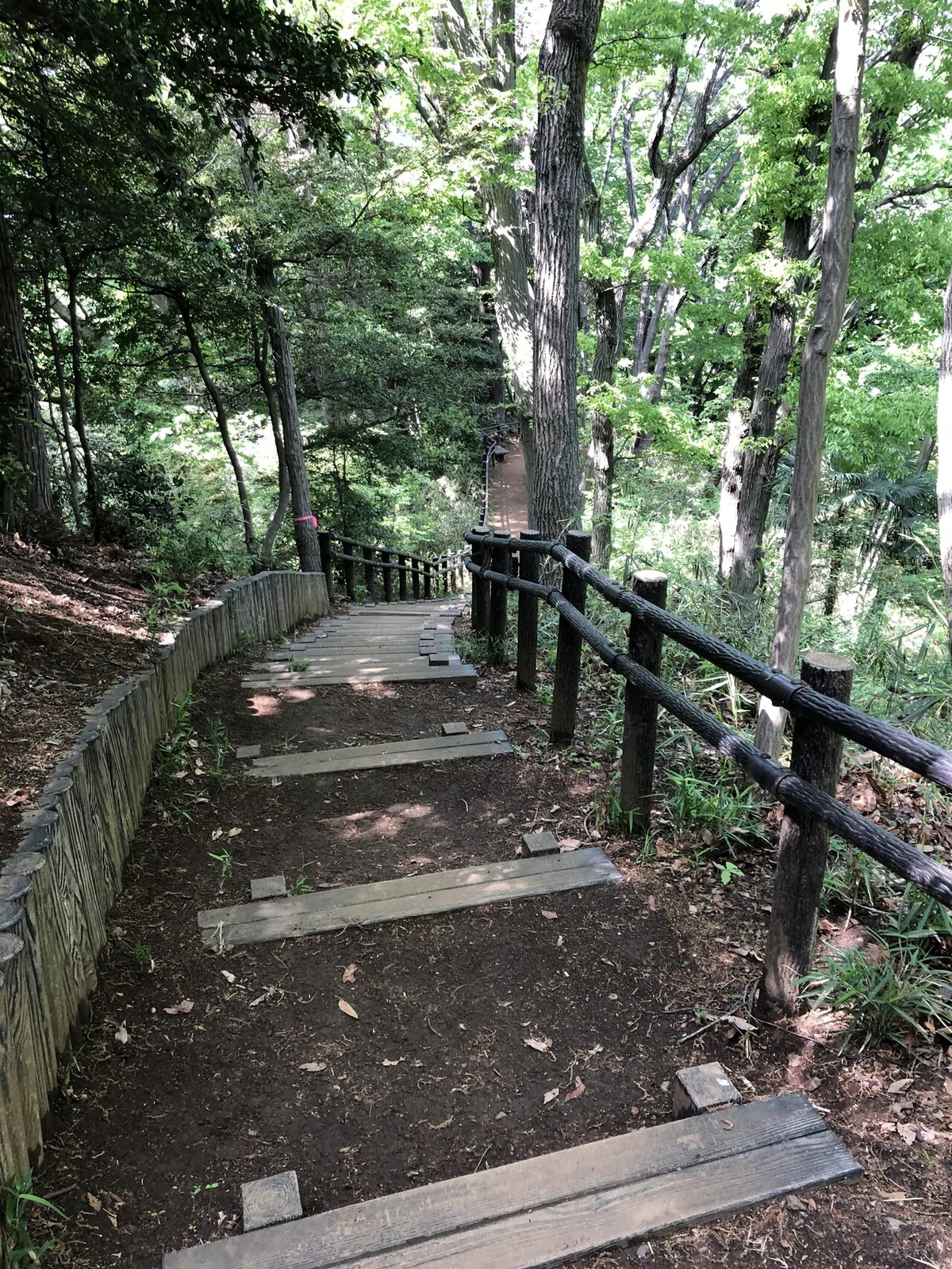 画像20