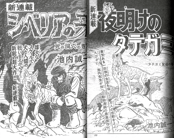 あらしのエース 病魔球のやつ の作者が50年前にジャンプで10週打ち切りになった シベリアの牙 ちゆ12歳 Note あらしのエース 病魔球のやつ の作者が50年前にジャンプで10週打ち切りになった シベリアの牙 ちゆ12歳 Note