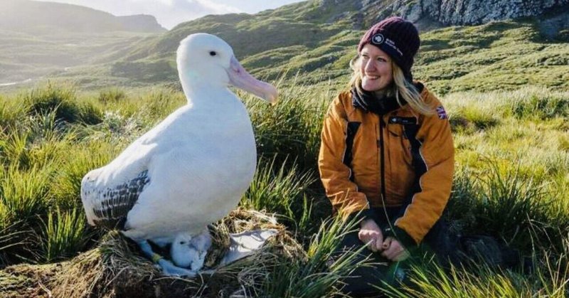 アホウドリ の新着タグ記事一覧 Note つくる つながる とどける