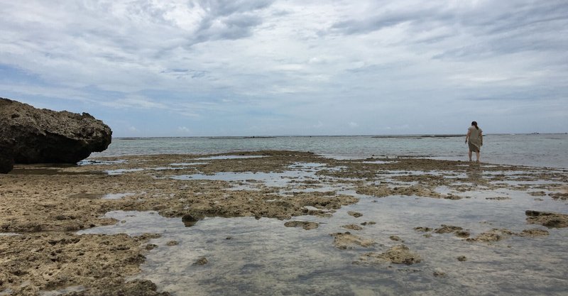 The Yellow Monkey So Young 2525 Note