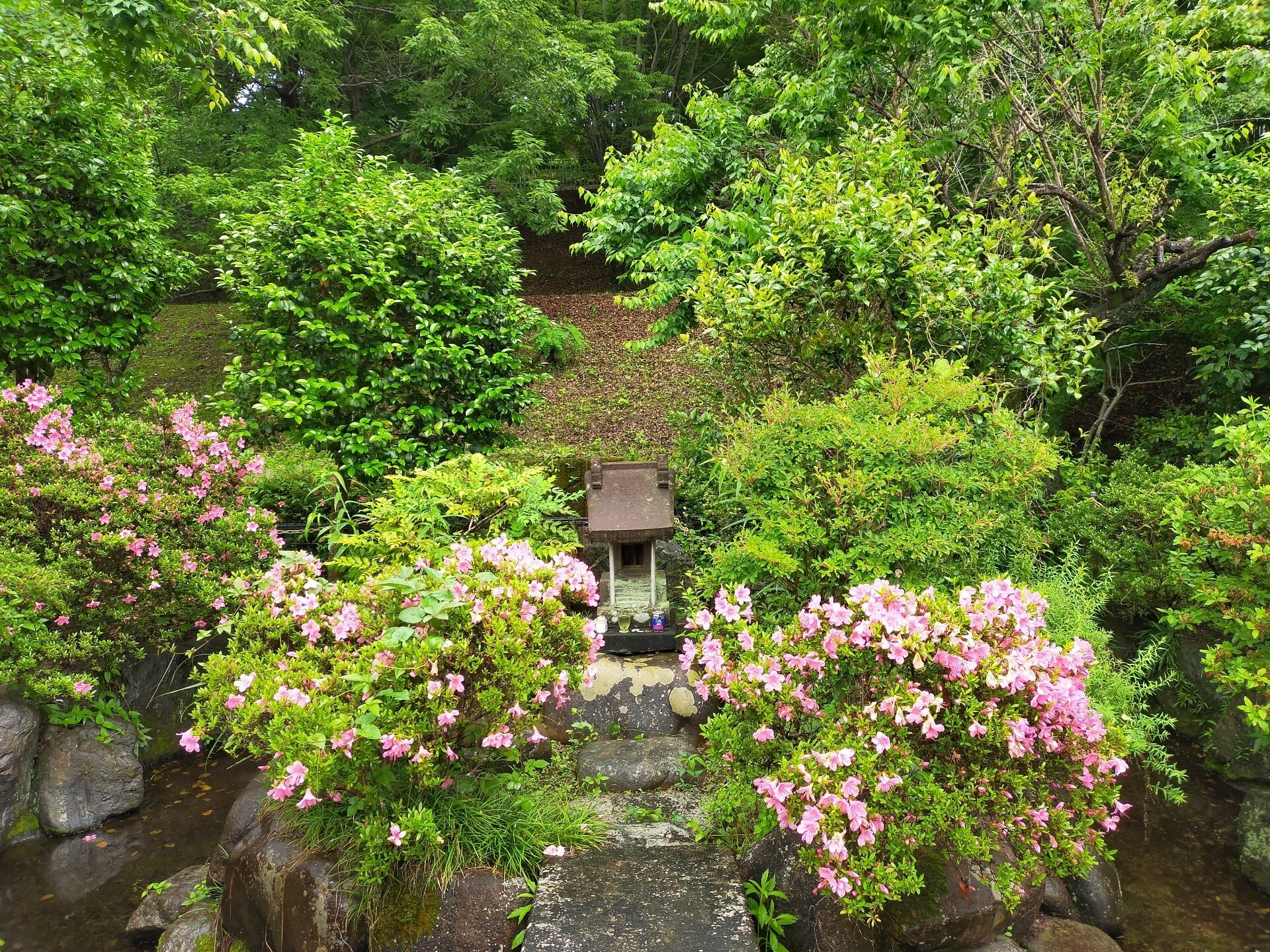 己巳の日 金運アップ 日影弁財天へ行ってきた 糸いりす 陰陽五行臓活食養アドバイザー Note