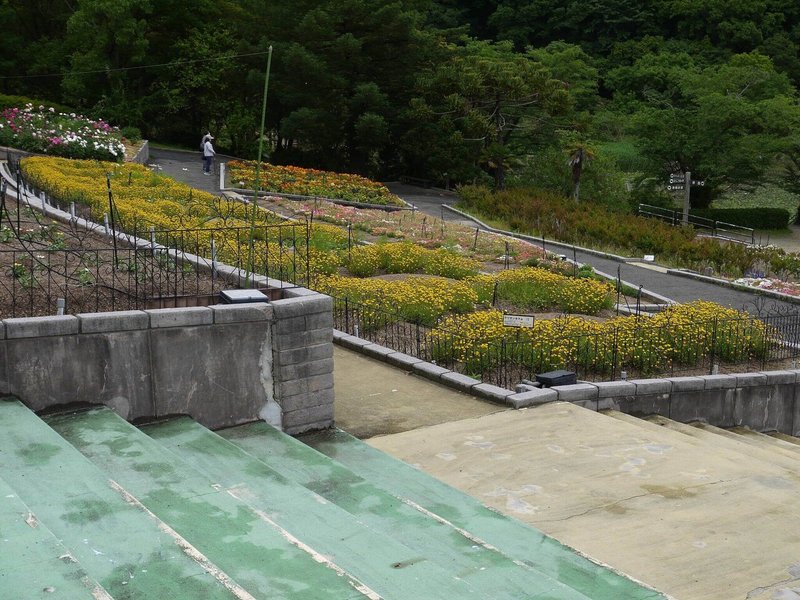 ５月１６日 和歌山県緑化センター パノラマ花壇 中岡 はじめ Note