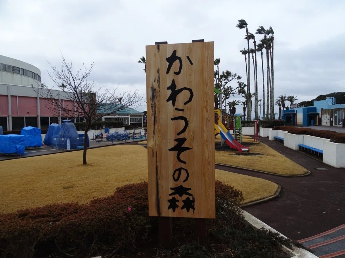 画像3