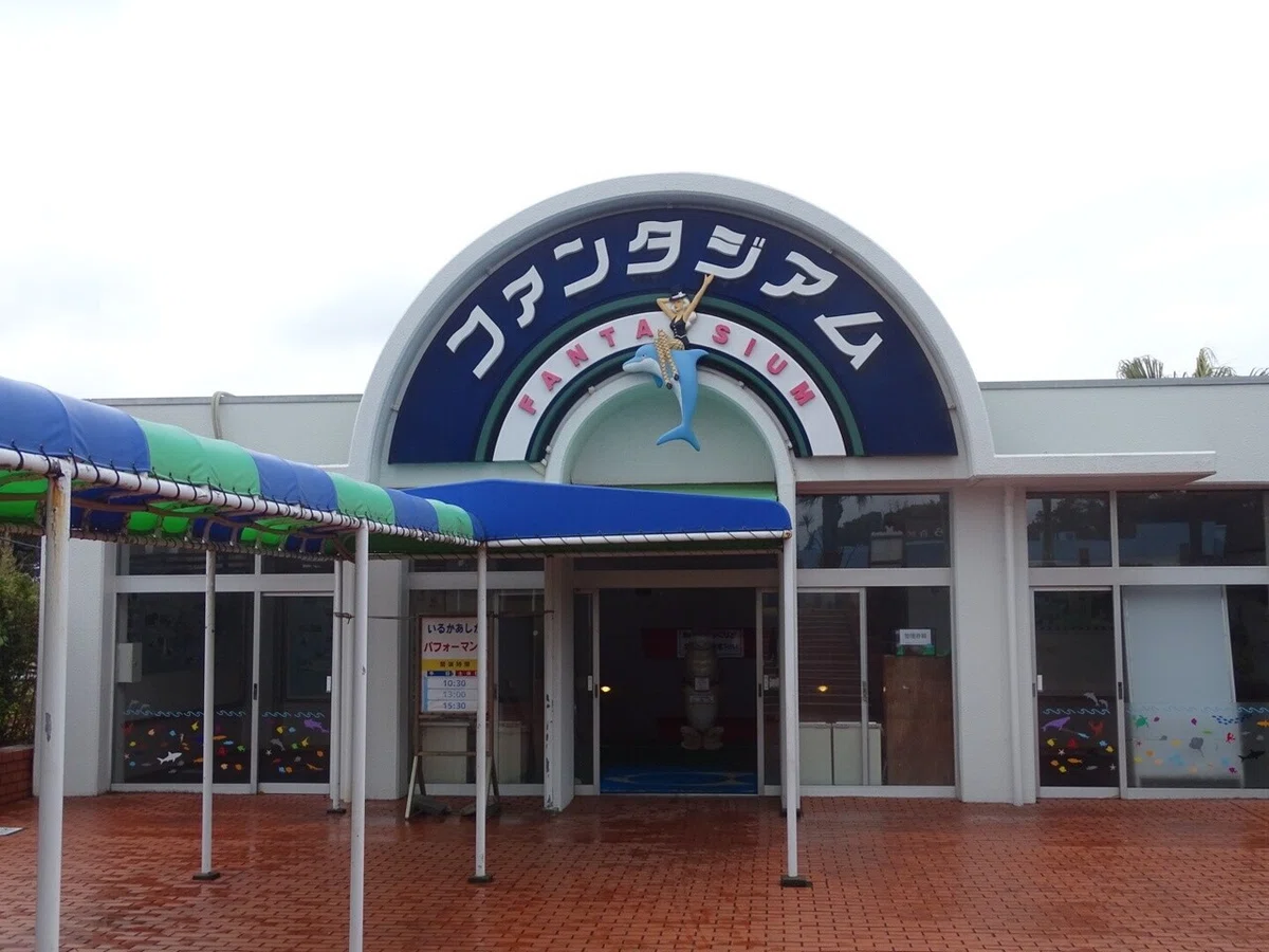 画像5