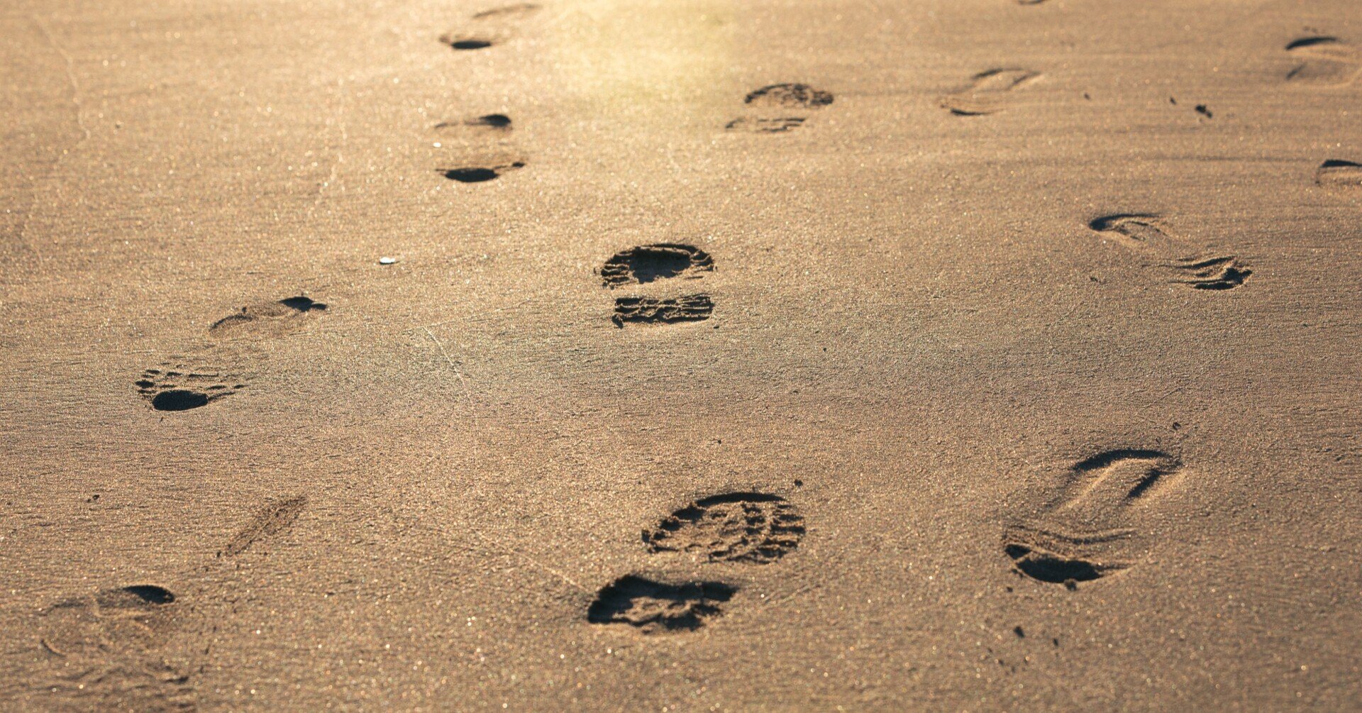 洋楽和訳 1 Step Forward 3 Steps Back Olivia Rodrigo Sour収録曲 Sharon Note