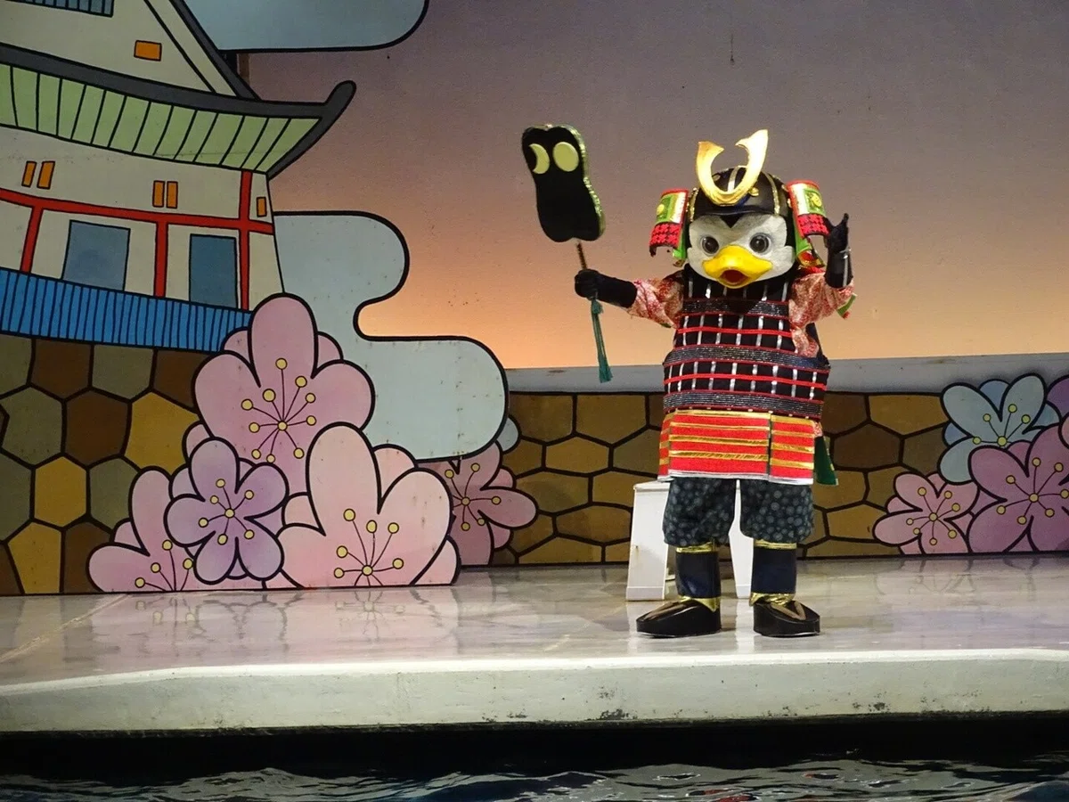 画像14