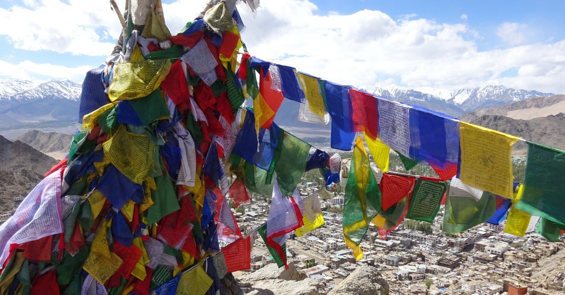 インドの中のチベット・ラダック地方｜青木 弘之 / Plava Stablo