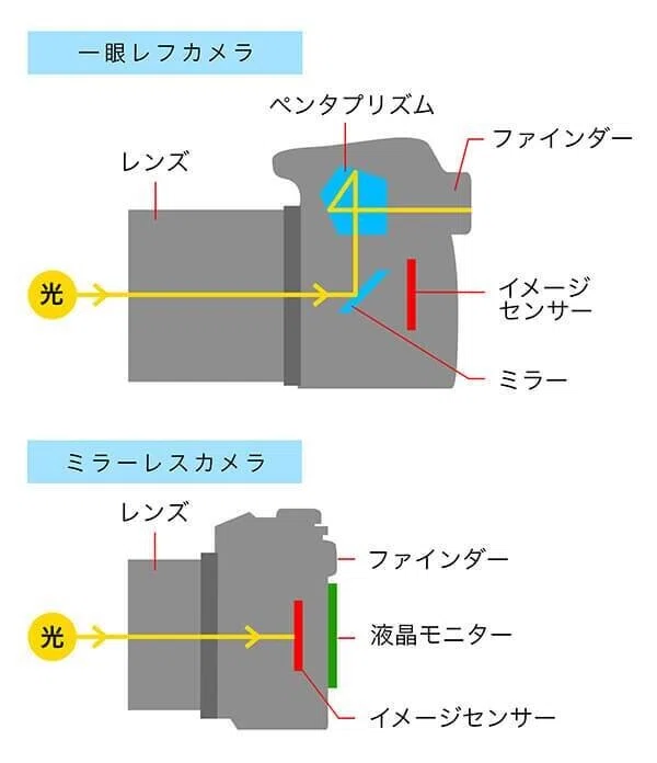 D*社様 カメラ　レンズ　まとめ D*社様 カメラ レンズ まとめ 動画クリエイターが紹介！それぞれの