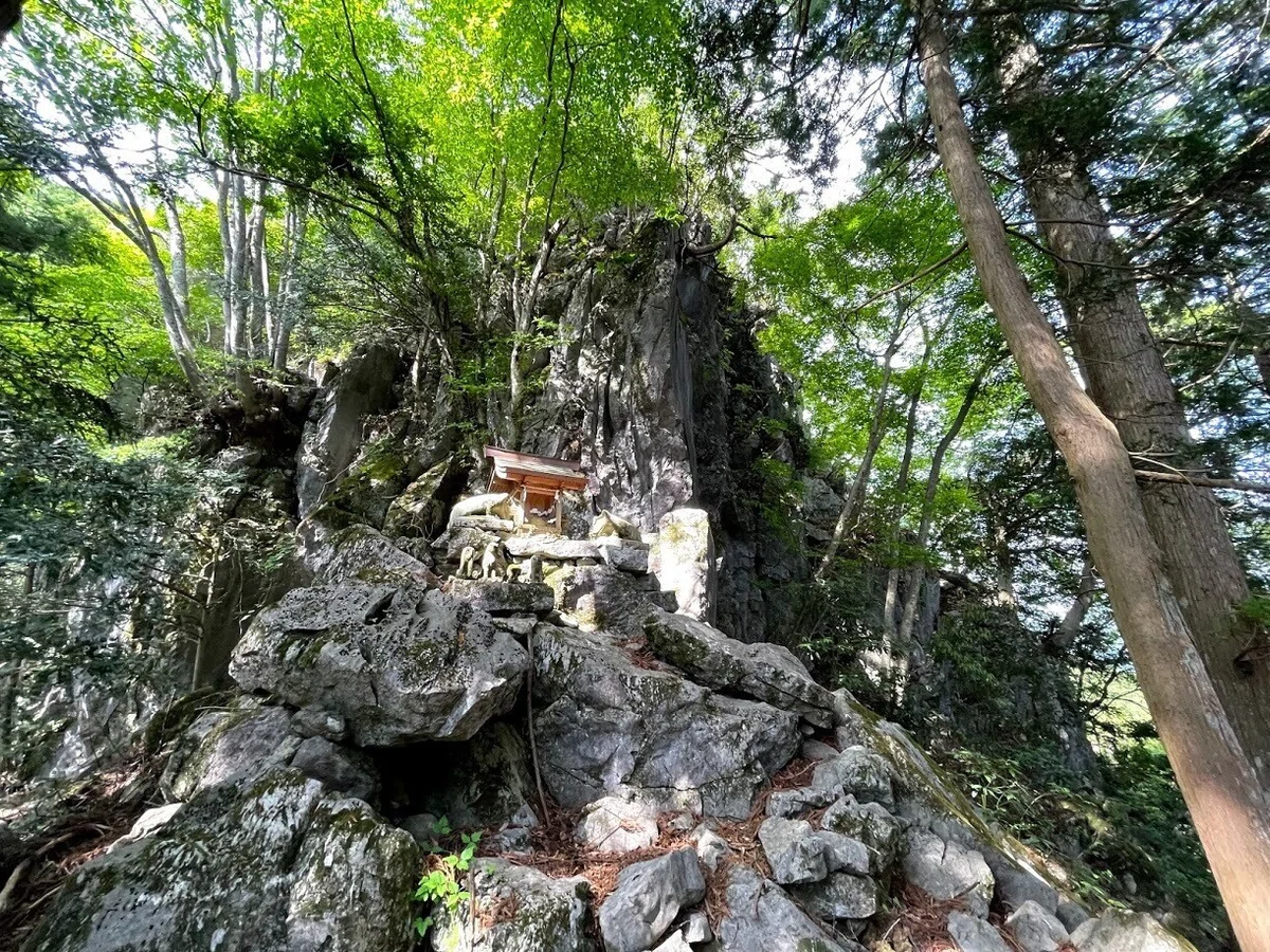 画像11