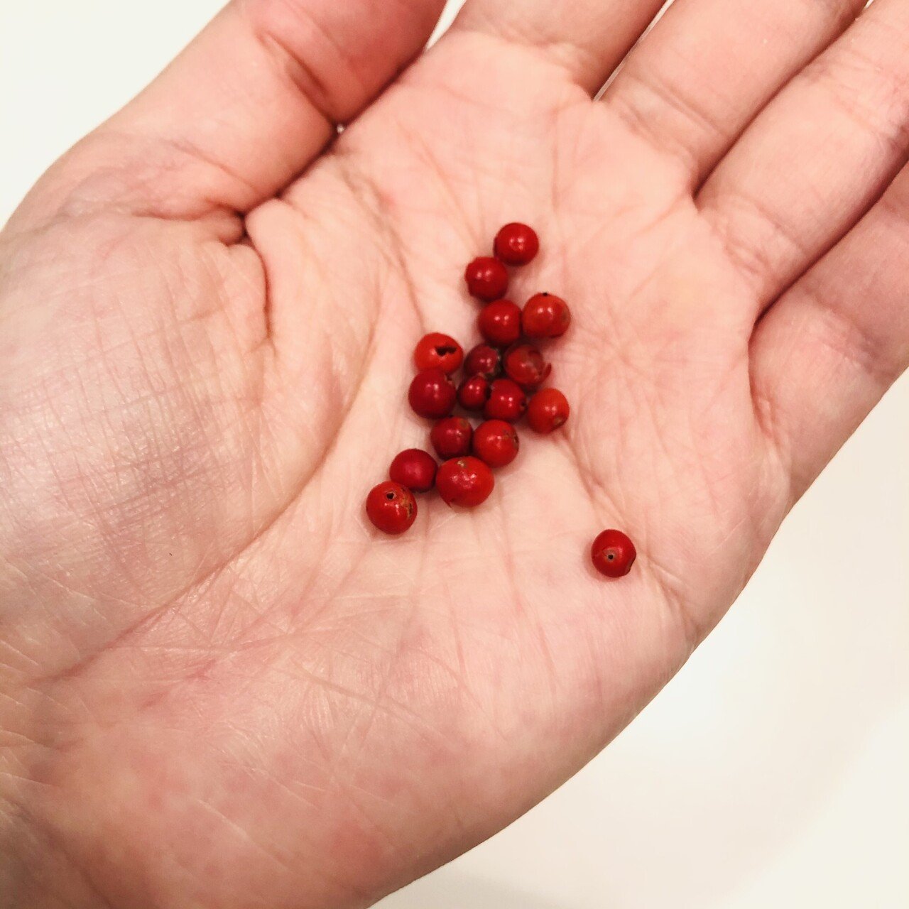 気持ちをちょっぴり上げるピンクペッパーとベビーリーフのサラダ 21 05 21 Kamai サラダがすき Note 気持ちをちょっぴり上げるピンクペッパーとベビーリーフのサラダ 21 05 21 Kamai サラダがすき Note