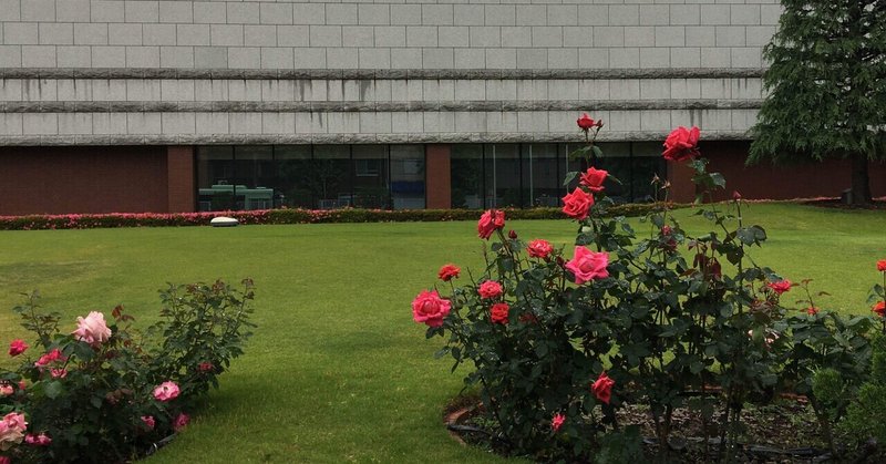 ハートの女王の庭の薔薇 Ruby Note ハートの女王の庭の薔薇 Ruby Note