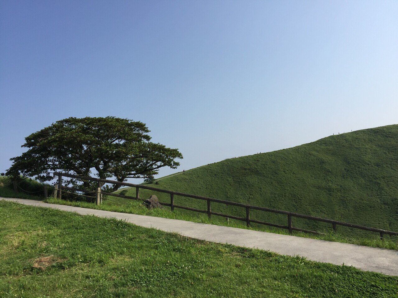 目に優しい 三拍子です 青空 深緑 良い眺め この日はほんとに気持ちの良い日でした この一枚で ほんの少しでもいいので ほっ として頂けたら幸いです 今日も一日お疲れ様でした ゆる波暮らし Note