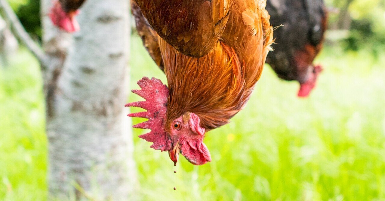 食べるための動物を育てる 酒巻 洋子 Note 食べるための動物を育てる 酒巻 洋子 Note