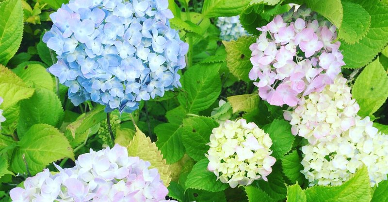 日向坂46が披露した 世界には愛しかない を観て感動 にゃんちゃる 6月から毎日投稿中 Note 日向坂46が披露した 世界には愛しかない を観て感動 にゃんちゃる 6月から毎日投稿中 Note