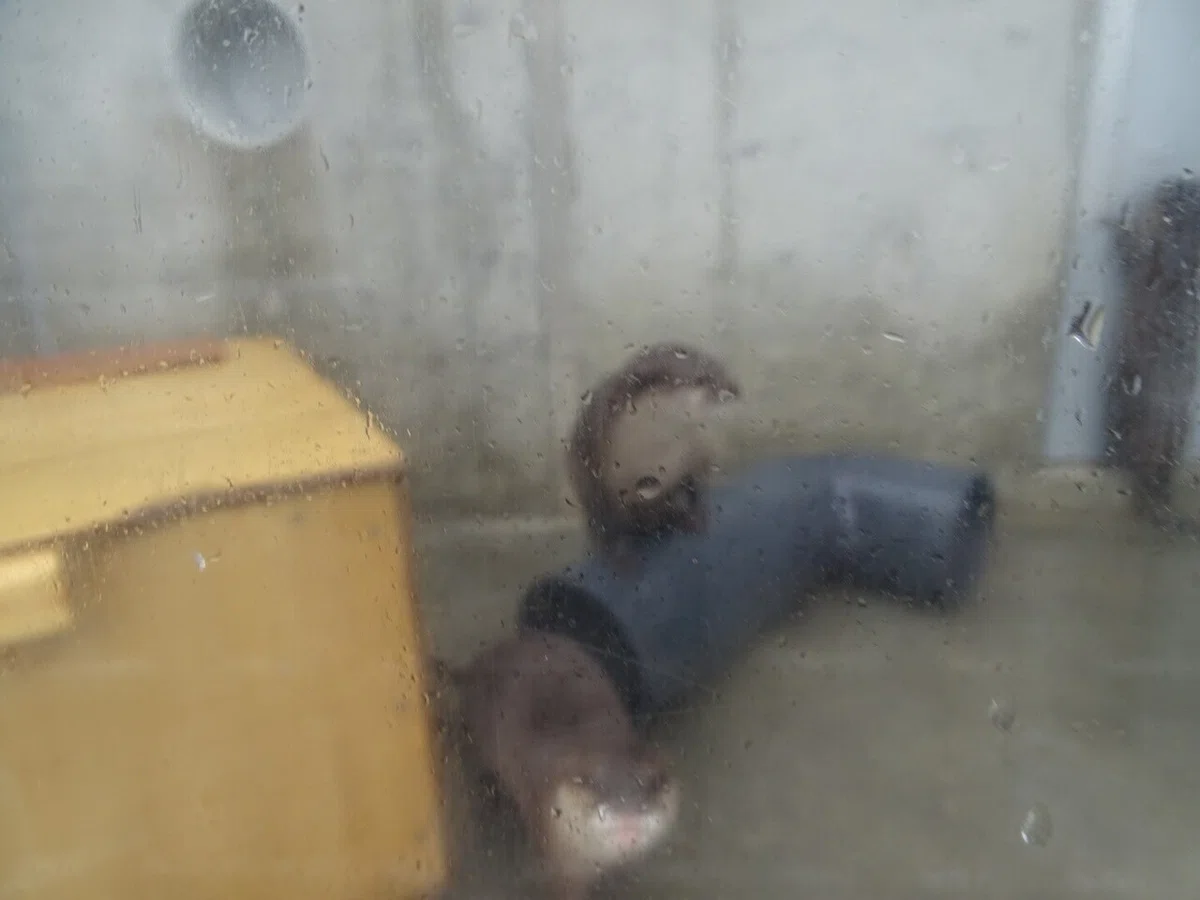 画像31
