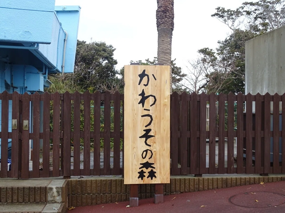 画像34