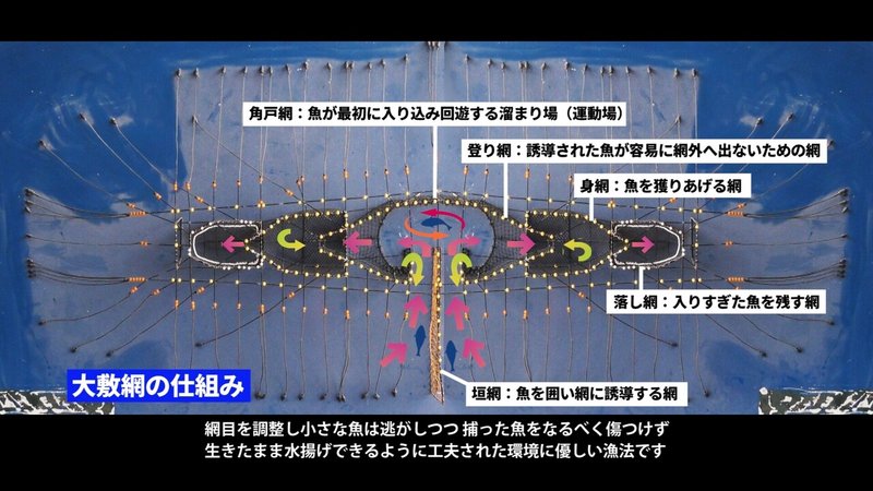 音声修正版_アマックス「大敷網編」.00_02_03_16.静止画042