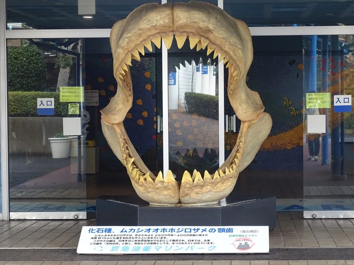 画像40