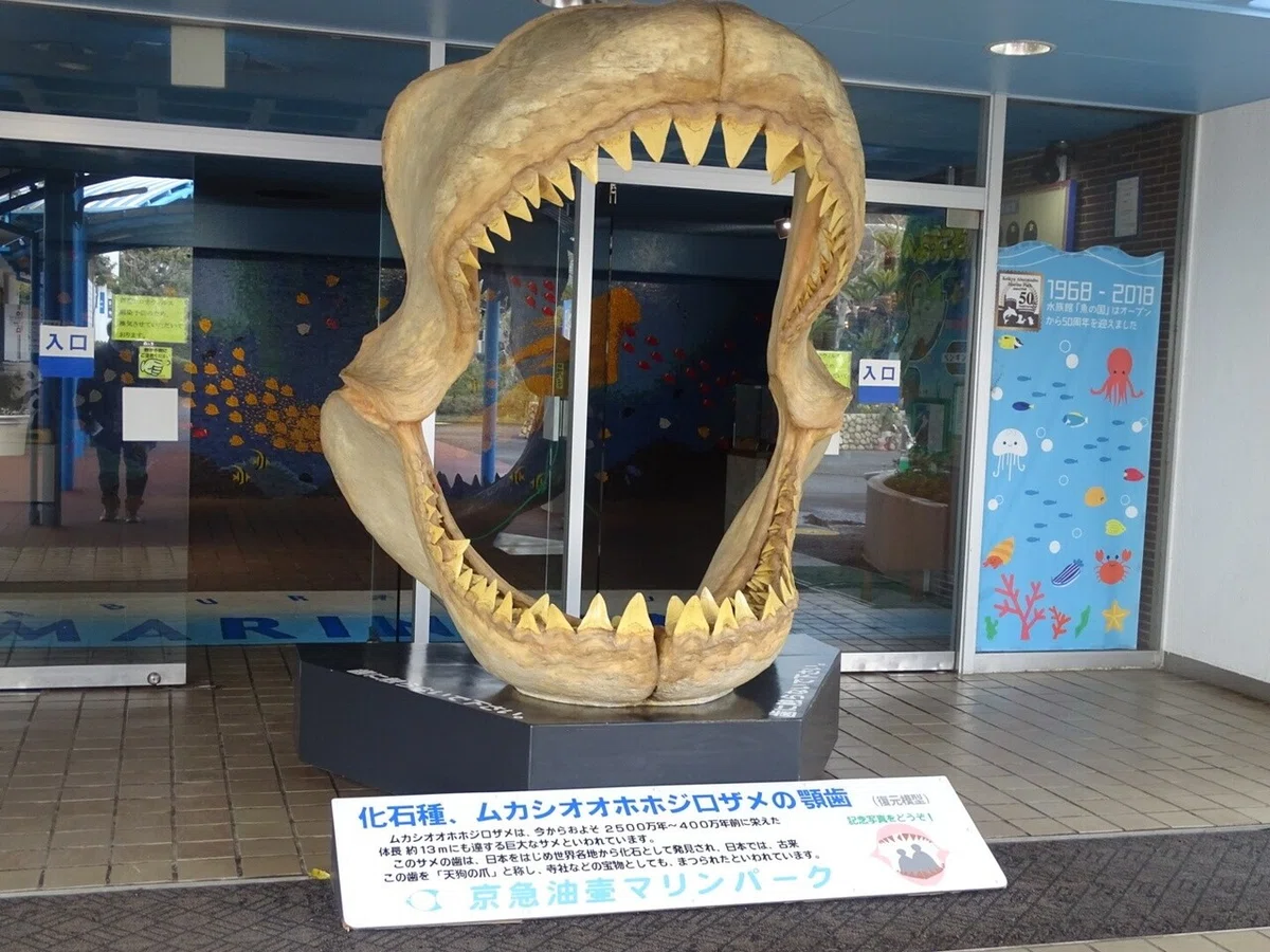 画像41