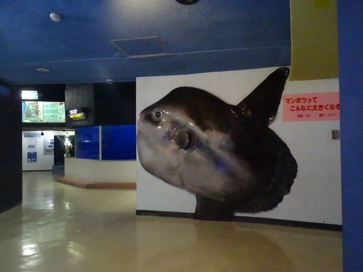 画像43