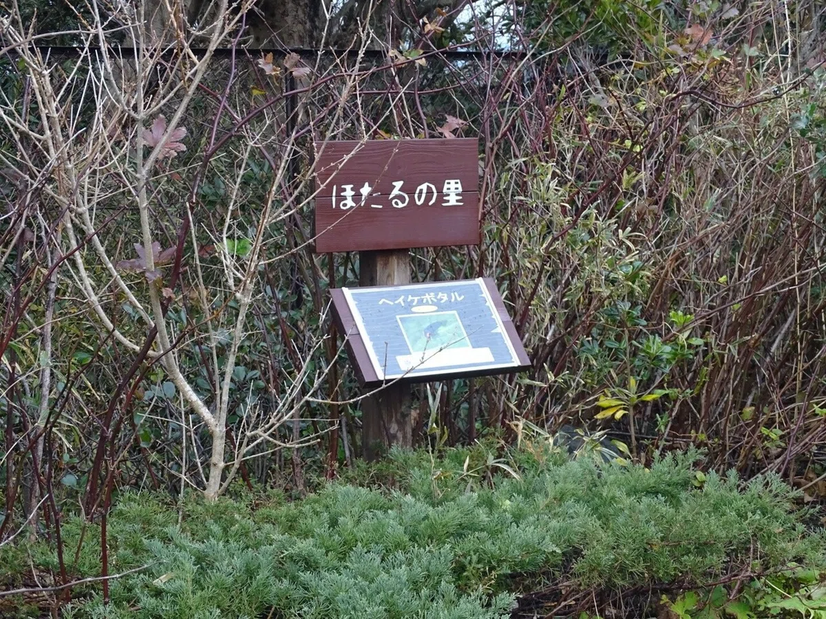 画像51