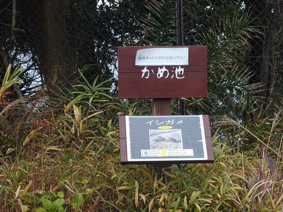 画像49