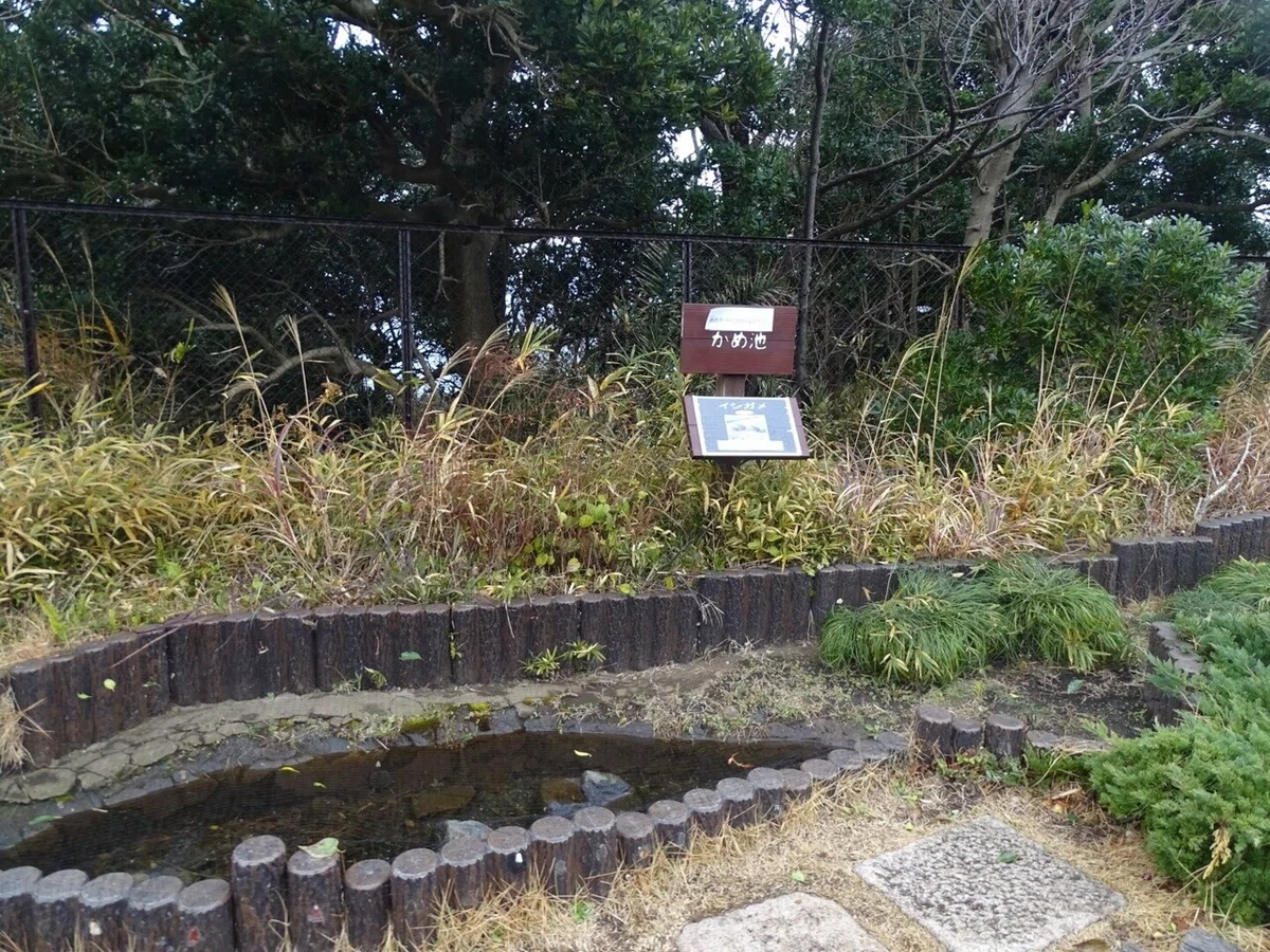 画像48