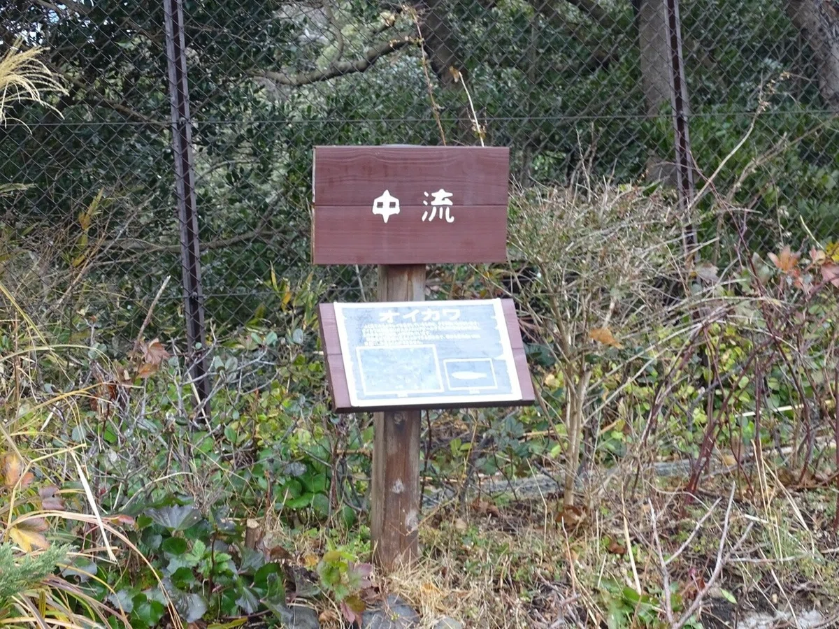 画像50