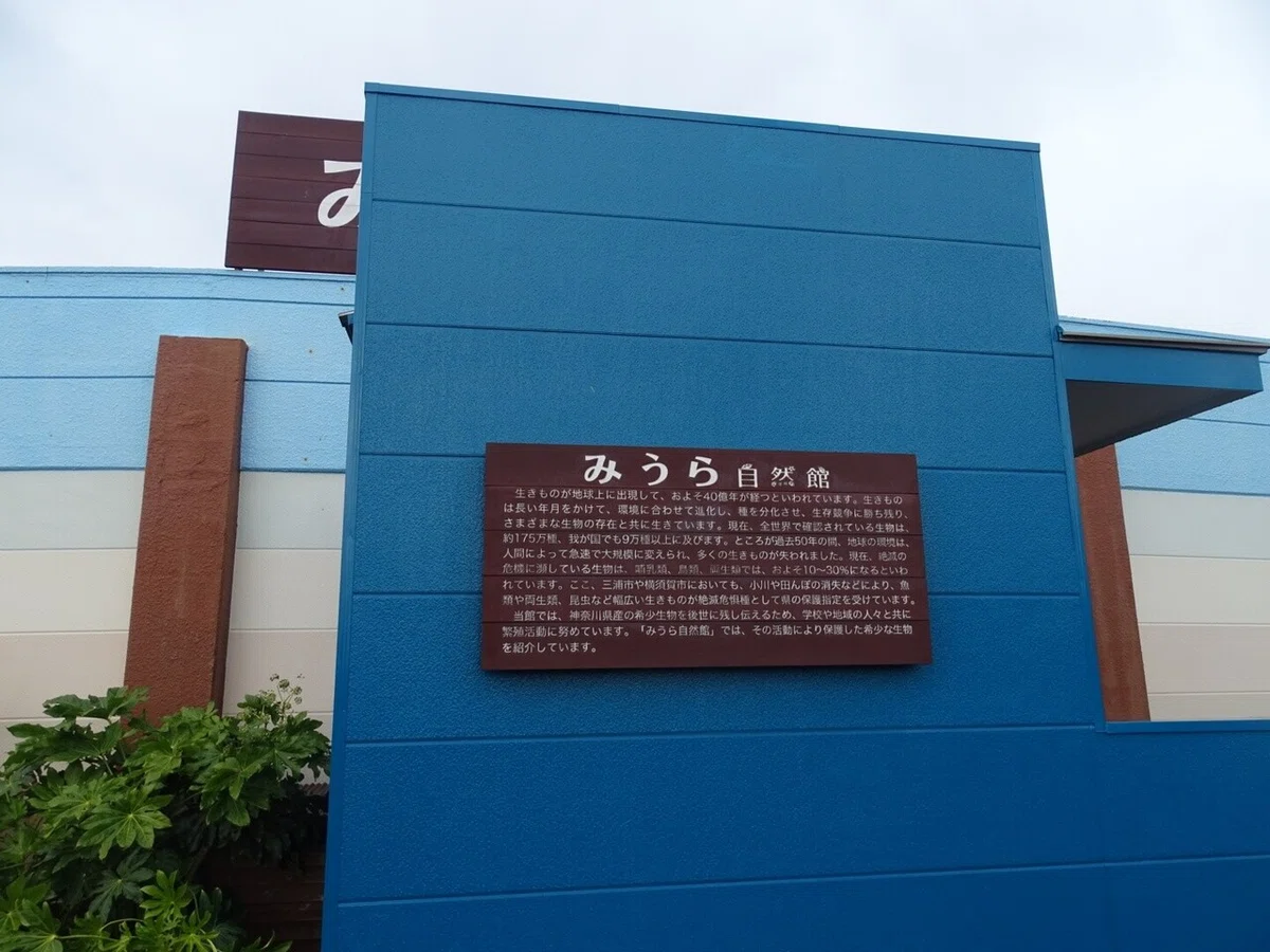 画像56