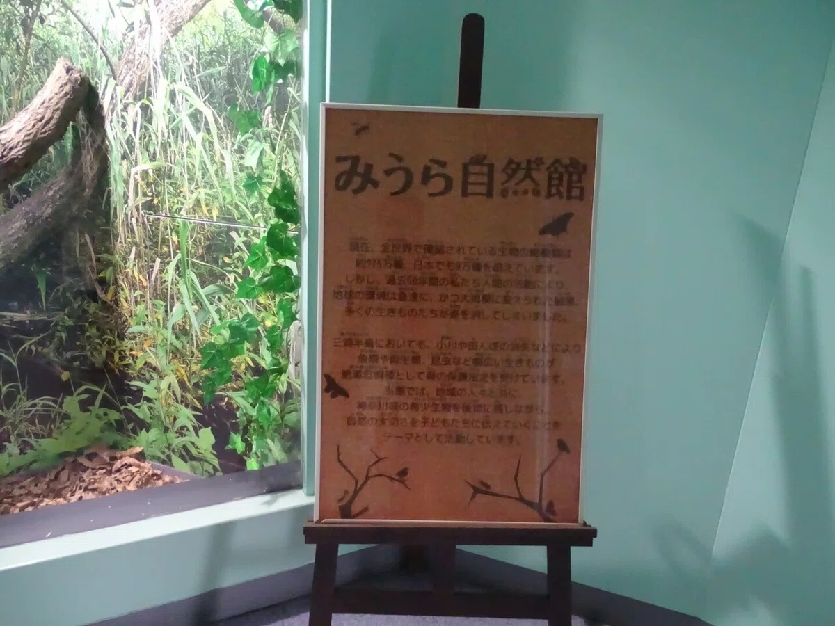 画像57