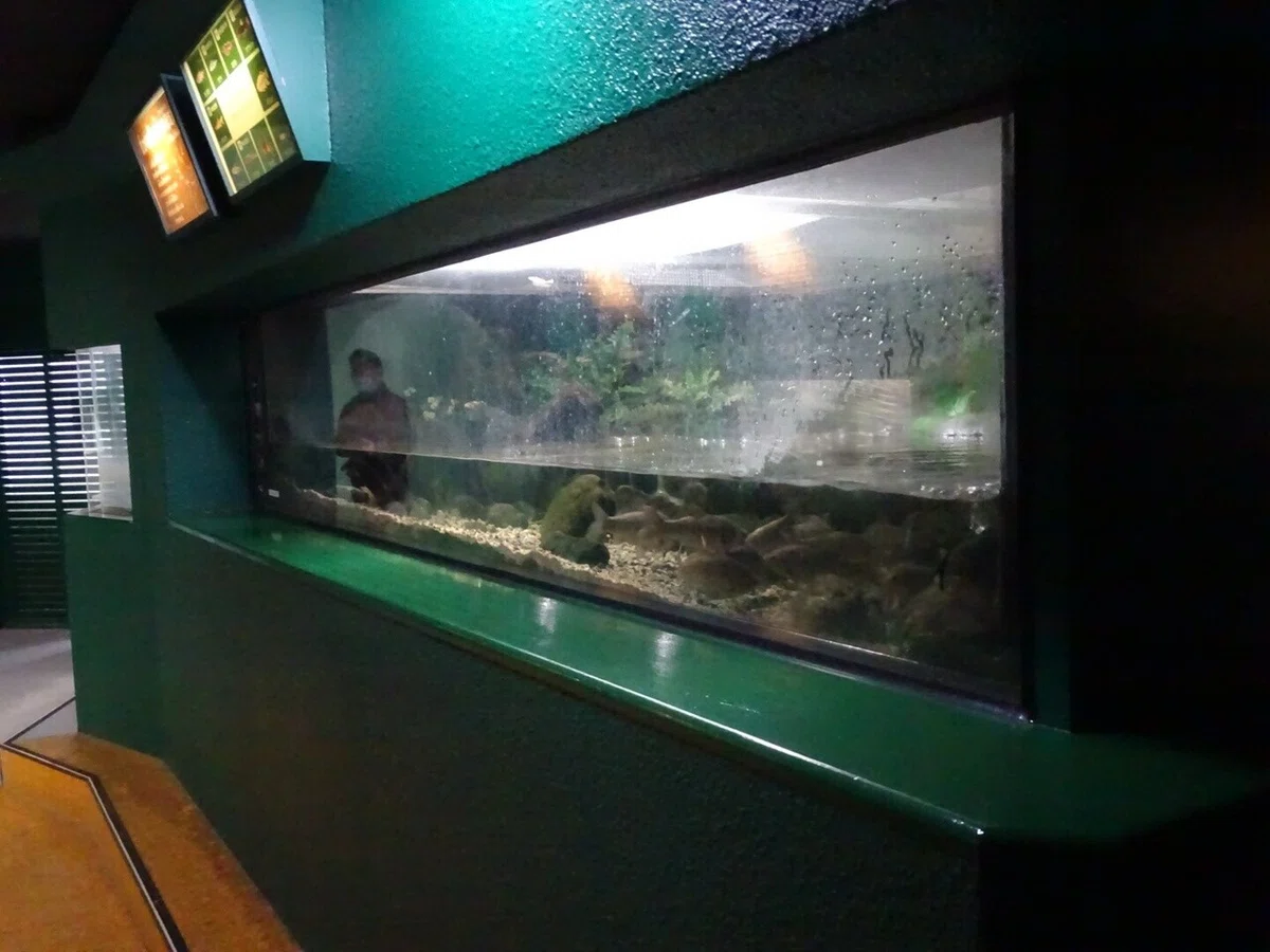 画像54