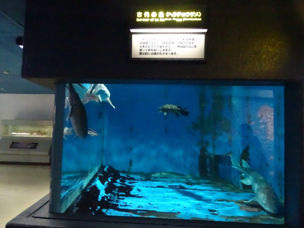 画像62