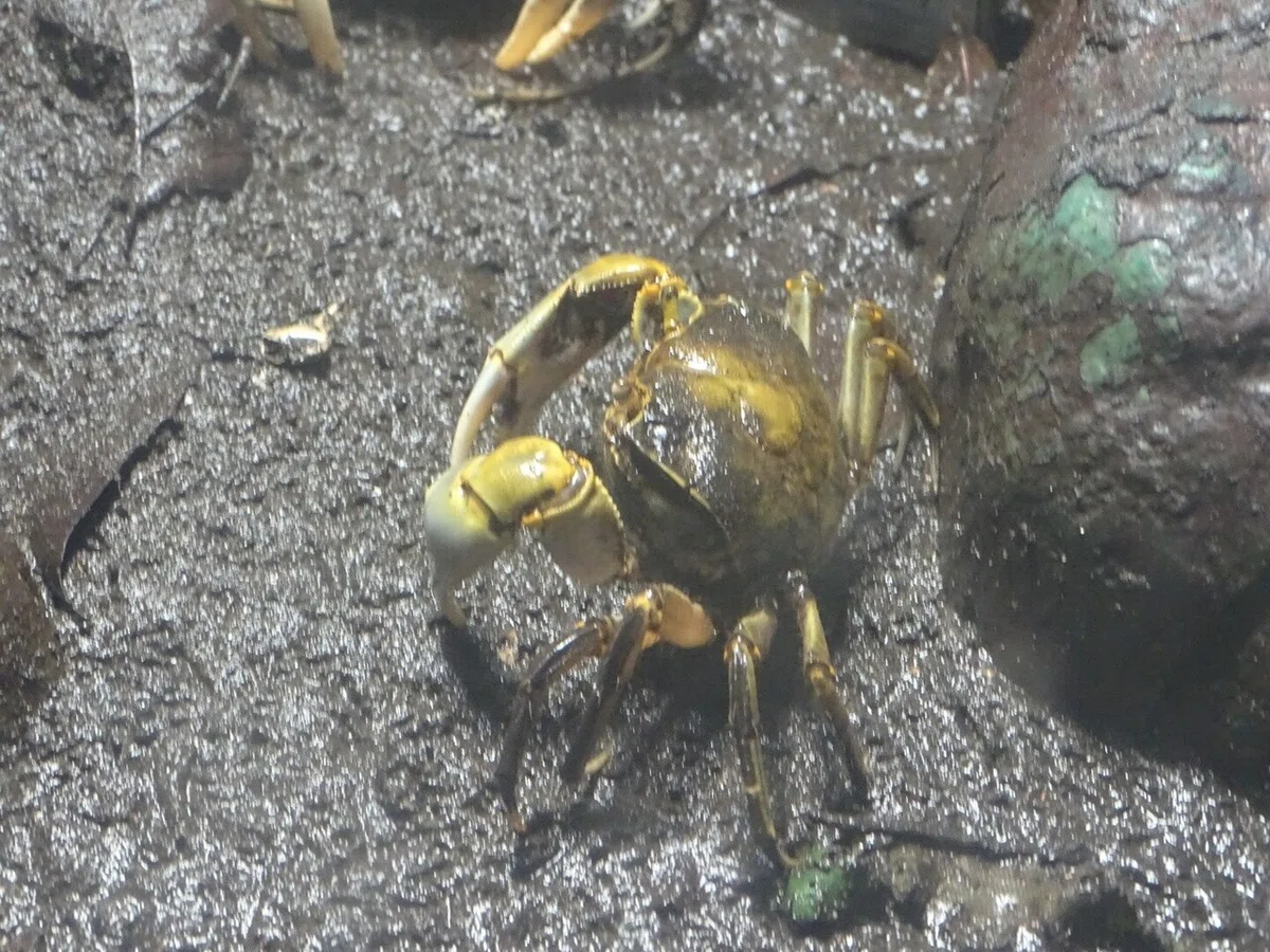 画像68