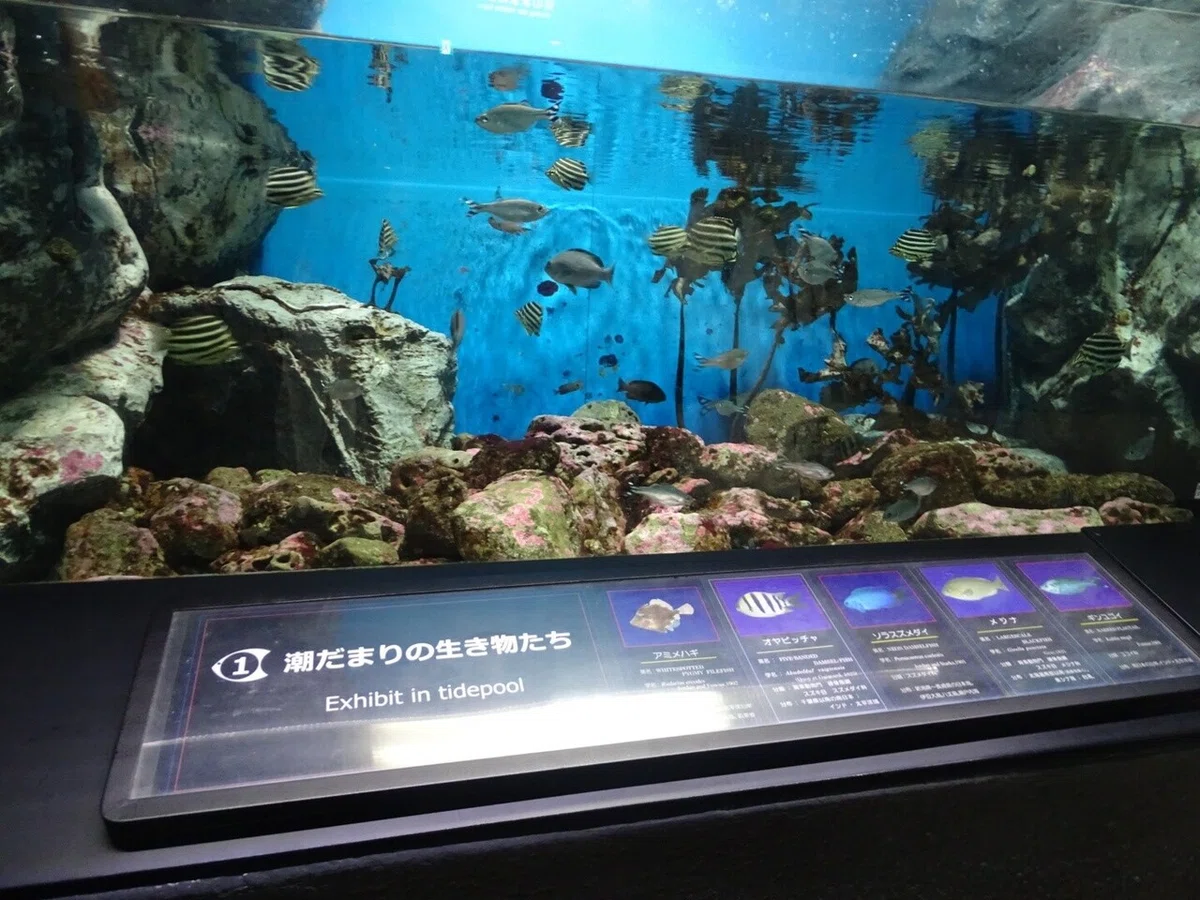 画像63