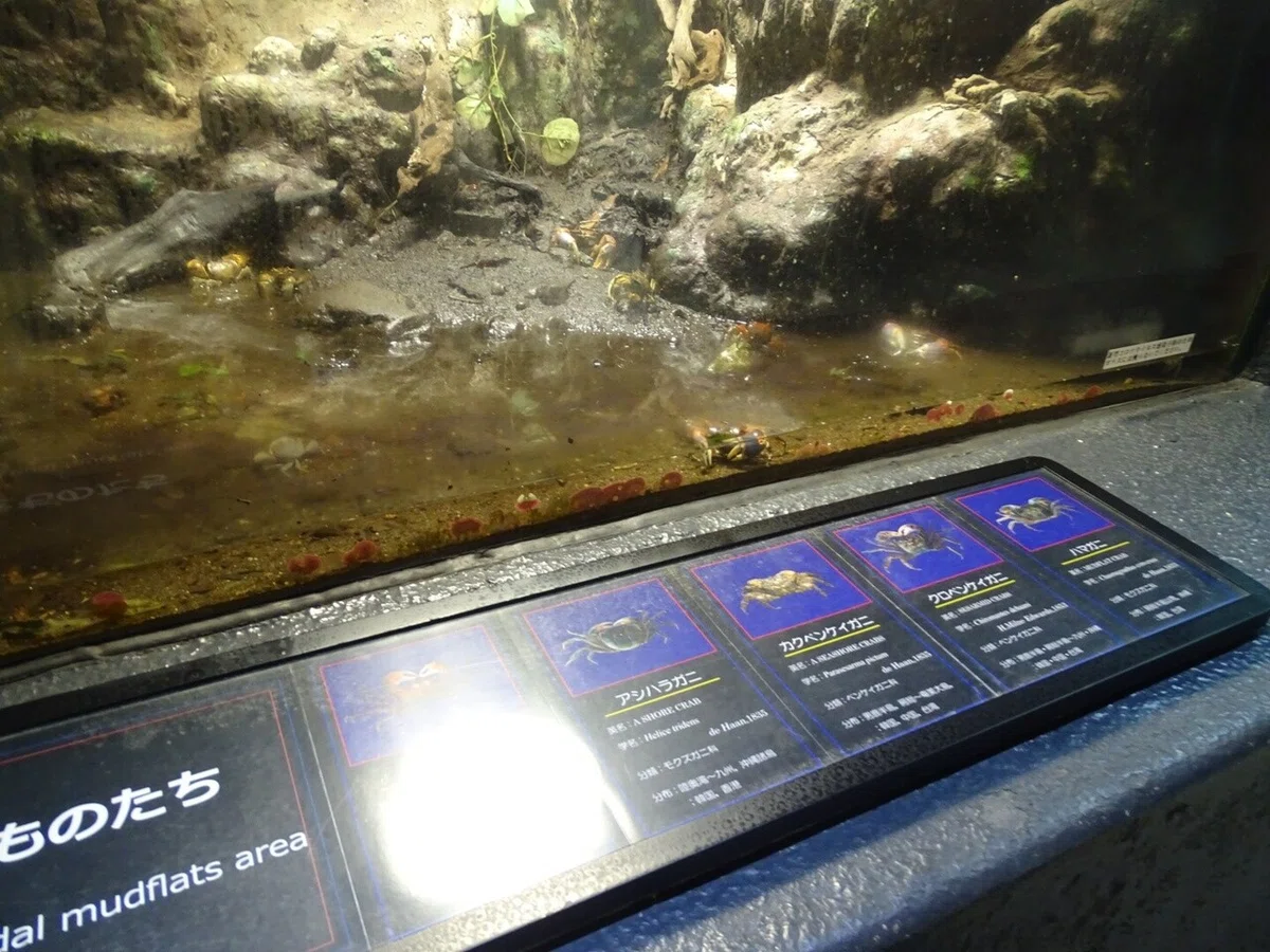 画像66